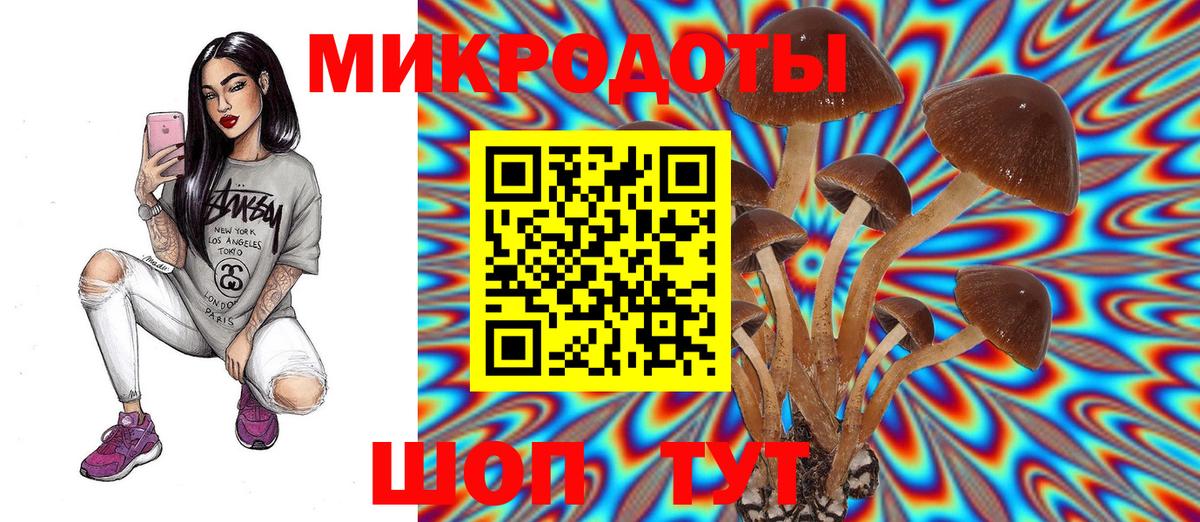 Псилоцибиновые грибы Cubensis Стрежевой
